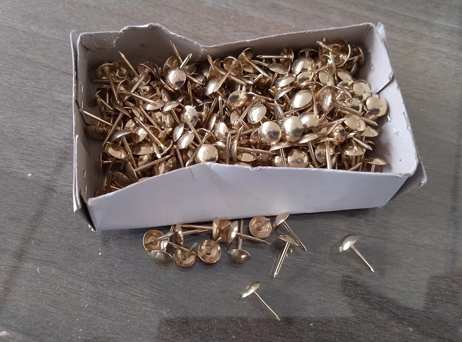 Thumb Pins (Chair Pins)